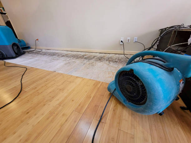 Professional Water Removal technician working in Bailey, NC